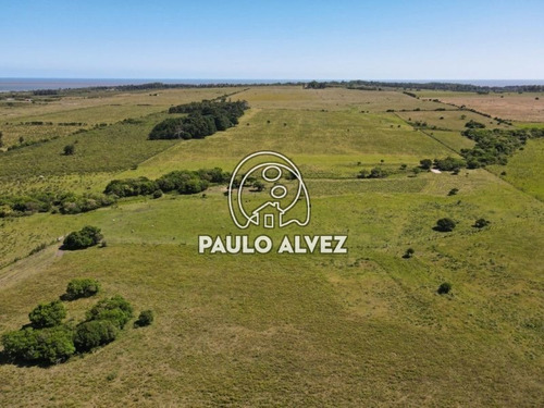Chacras-venta-punta-negra-ch3029