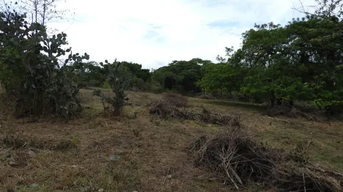 Lote En Venta En Sopetran