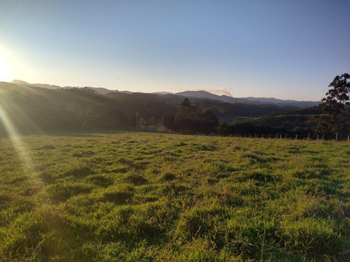 Imagem 21 de 30 de C03- Tenho O Terreno Ideal Para Você