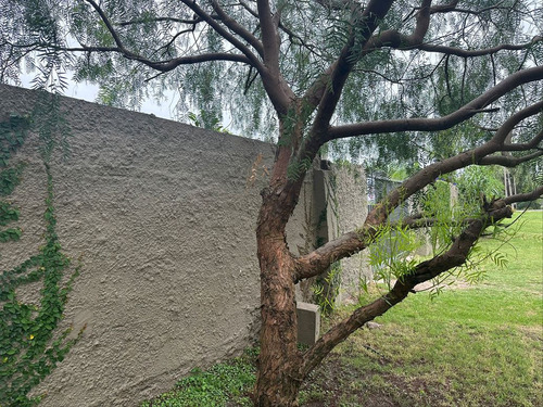 Venta Terreno Barra De Carrasco