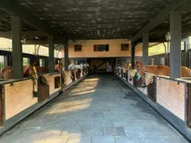 Comprar Caballerizas  En Venta Y Alquiler | Vco Propiedades