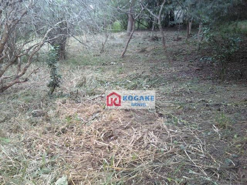 Imagem 9 de 11 de Chácara À Venda, 7600 M² Por R$ 590.000,00 - Jardim São Leopoldo - São José Dos Campos/sp - Ch0093