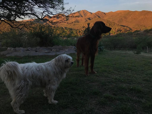 Imagen 18 de 20 de Lote En Venta - Cruz Chica La Cumbre Córdoba