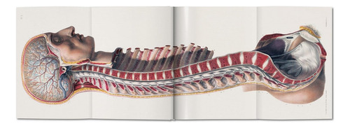 Atlas Of Human Anatomy And Surgery - Por J. M. Bourgery - Anatomia - Livro Importado Edição Grande - Inglês Francês - Editora Taschen - Capa Dura - 1a Edição