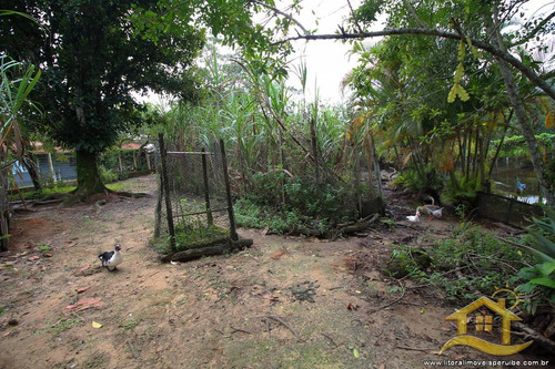 Imagem 27 de 30 de Sítio - Sítio No Bairro Chácaras Tamoios, 0 Metros Da Praia, Peruíbe-sp - 2950