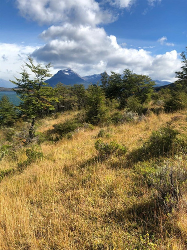Se Vende Hermoso Sitio En Laguna Sofia De 13.774 M2
