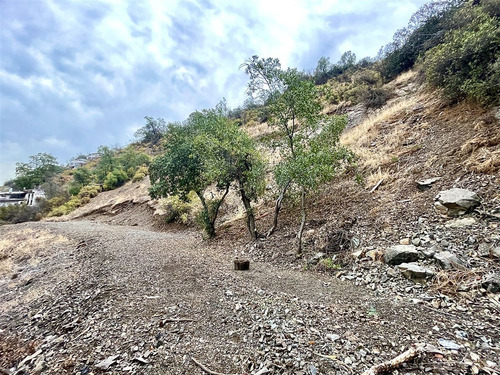 Sitio En Venta En El Arrayán