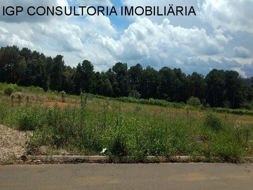Imagem 8 de 10 de Terreno Industrial Europark Indaiatuba - Te02610 - 34053383