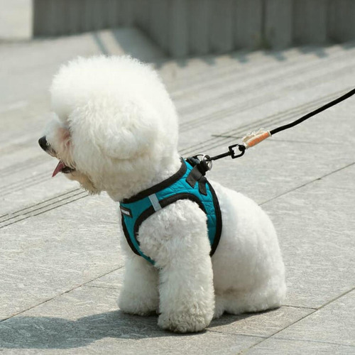 Voyager By Best Pet Supplies Step-in Plush Dog Harness With Color Felpa Beige