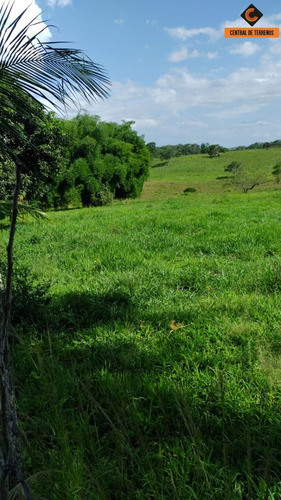 Imagem 3 de 4 de Terreno Em Candeias - Te00039 - 4432910