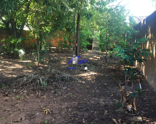 Imagem 25 de 26 de Casa Próximo A Faculdade Unitoledo - Araçatuba - Excelente Terreno - Ca01211 - 70729823