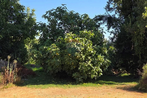 El Hogar De Tus Sueños O Un Terreno Para Invertir