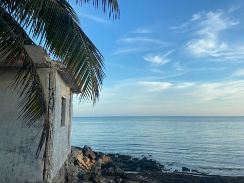 Imagen 4 de 14 de Lotes De Terreno De Inversión En Yucatán Cerca De La Playa
