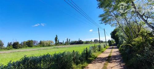 Sitio En Venta En San Carlos