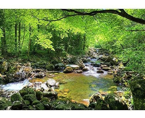 Imagen 2 de 9 de Paneles Wall26 - Smolny De Fall Forest Stream En La Reserva