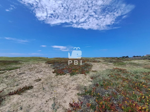 Exclusivo Lote Sobre La Playa En Santa Mónica - Ref : Pbi13252