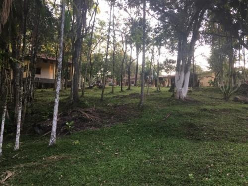 Imagem 2 de 14 de Ótima Oportunidade , Chácara De 4000 M² Por Apenas 250 Mil !