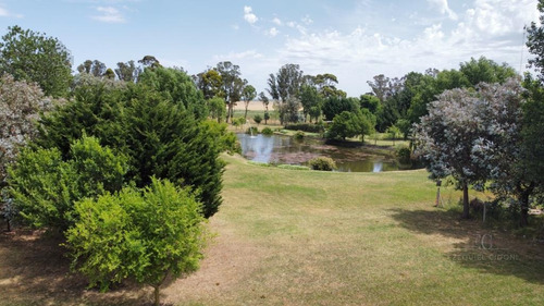 Imagen 11 de 30 de Terreno - Mar Del Plata - Pileta - Mar - Country - Barrio Privado - Golf - Costa Atlántica