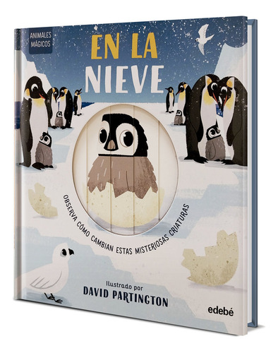 Animales Magicos En La Nieve, De Clark, Neil., Vol. 1. Editorial Edebe, Tapa Dura En Español, 2024