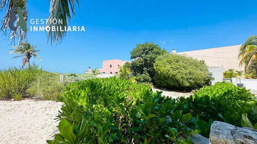 Terreno En Venta En Progreso, Yucatan. Mtv315.