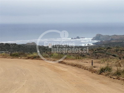 Imagen 3 de 19 de Sitio En Venta En Rocas Del Mar, Los Molles