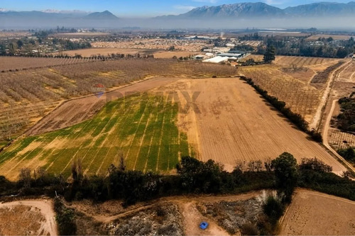  Oportunidad Única: Terreno De 9 Ha En Buin 