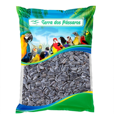 Semente Limpa De Girassol Nacional - 500g