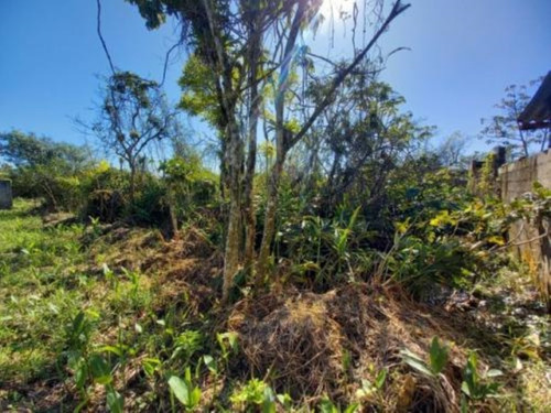 Imagem 2 de 3 de Lote Escriturado Na Praia De Itanhaém/sp! Analisa Ofertas A Vista!