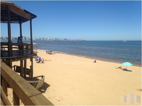 Imagen 24 de 30 de Apartamento En Punta Del Este, Mansa
