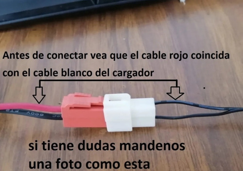 Imagen 2 de 10 de Cargador Para Carrito O Montable Eléctrico Prinsel