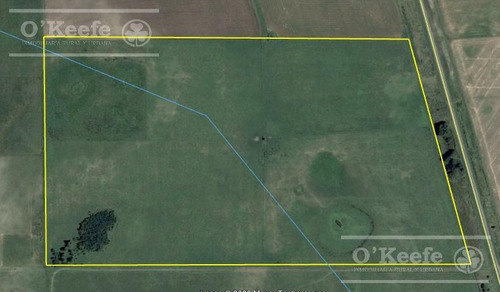Imagen 8 de 13 de Campo 60 Has - 100% Agrícola - Oportunidad Sobre Ruta 41 - General Belgrano