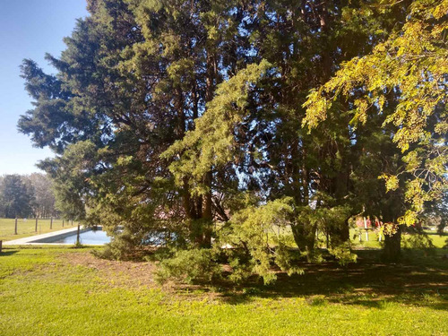 Venta Lote En Los Palenques Club De Campo