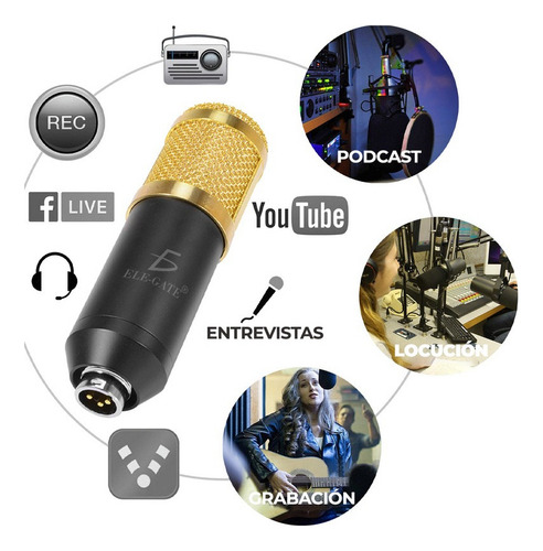 Kit Profesional Microfono Condensador Grabacion Estudio Ktv