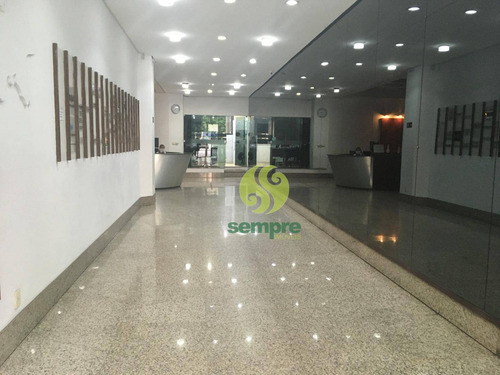 Imagem 16 de 18 de Conjunto Comercial De Salas À Venda, 245 M² - Lourdes - Belo Horizonte/mg - Cj0014