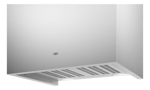 Imagen 2 de 2 de Extractor purificador de cocina TST Isla Isla Kuba 245-60 ac. inox. de pared 475mm x 600mm plateado 220V