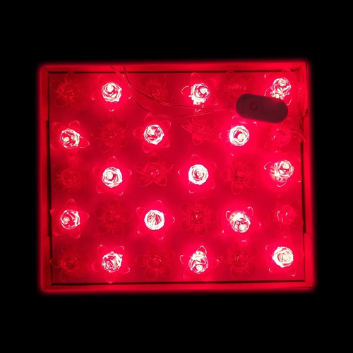Serie 30 Luces Rosas Rojas Luz Led Navideña