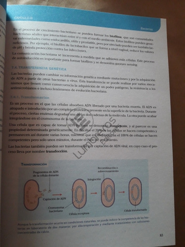 Imagen 8 de 10 de Libro De Biologia Tomo 2 Lumbreras