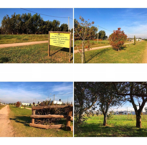 Imagen 5 de 5 de Vendo Lote De 20 X 50 En Coronel Brandsen U$s 23.000