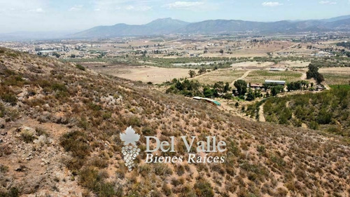 Imagen 6 de 9 de 1 A 5 Hectáreas En Valle De Guadalupe A Espaldas De Casa Fri