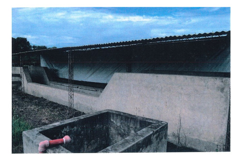Campo Mixto 14.384 Hectáreas En Formosa