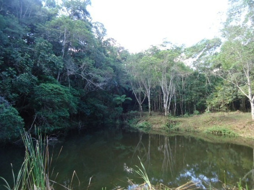 Imagem 3 de 10 de Lindo Terreno Com Lago Ref 874