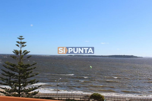Imagen 2 de 7 de Primera Línea, Playa Mansa