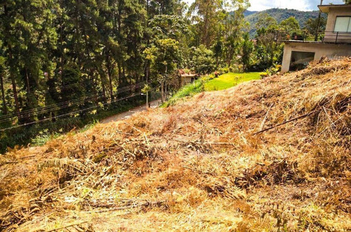 Imagem 5 de 5 de Terreno À Venda, 1040 M² Por R$ 220.000,00 - Albuquerque - Teresópolis/rj - Te0433