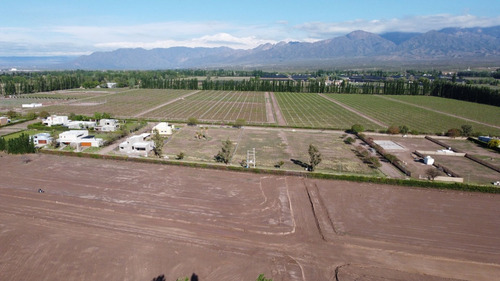 Venta Lotes Barrio Verona Vistalba Lujan De Cuyo