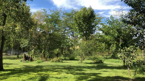 Imagen 4 de 5 de Se Vende 1 Hectarea Completa En La Entrada De San Vicente