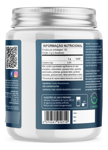 Creatina 100% Pura 300g Go More The One Supps