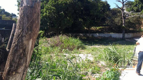 Imagem 3 de 14 de Terreno À Venda, 6000 M² Por R$ 4.000.000 - Taquara. - Te0025
