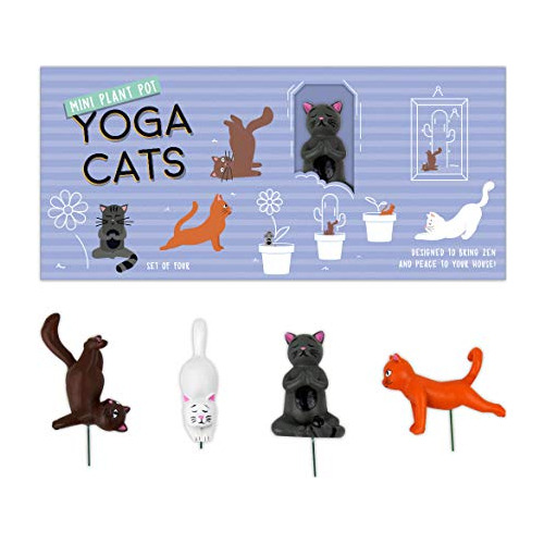 Maceta Mini De Gatos De Yoga, Multicolor