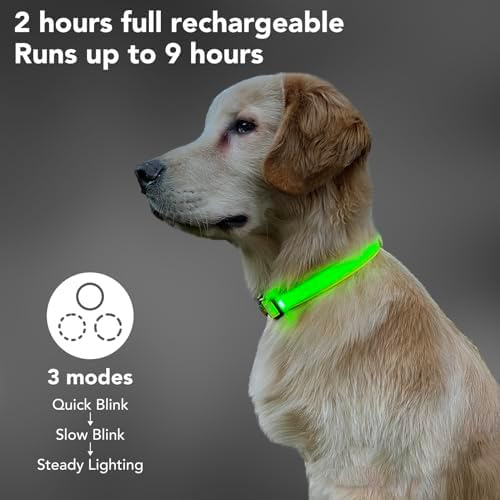 Collares De Perro Con Luz Led, Recargable Con Micro Usb, Imp