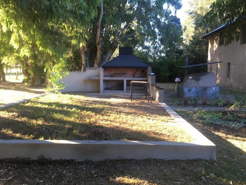 Imagen 6 de 21 de Venta Casa Quinta -chacra Con Casona- Piscina- Galpones Monte-zona Paraje El Pino, Partido De Magdalena.